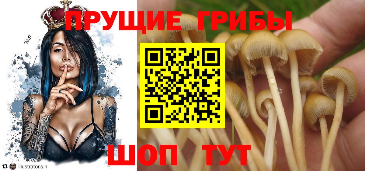 Павлово  Галлюциногенные грибы мухоморы  Вход с VPN 